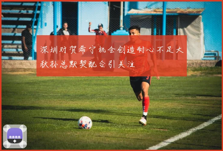 深圳对贺希宁机会创造耐心不足大秋孙总默契配合引关注